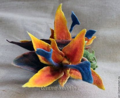 Стрелиция - Калинина (2014)_0.jpg